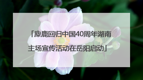 麋鹿回归中国40周年湖南主场宣传活动在岳阳启动
